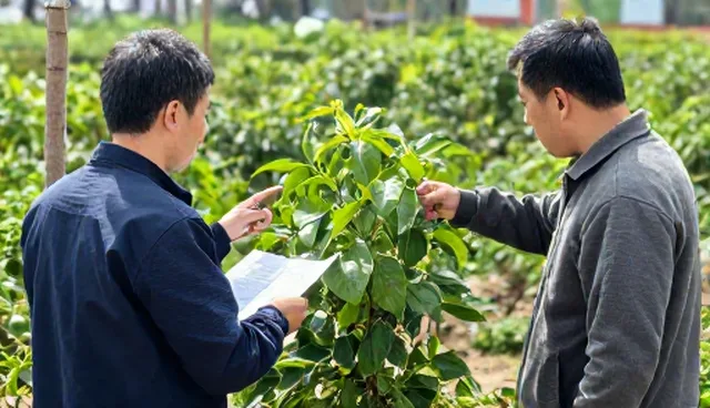 应用场景分析：基地合作开发中的种植技术指导